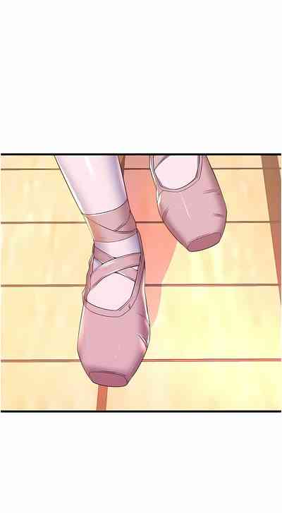 第498頁圖