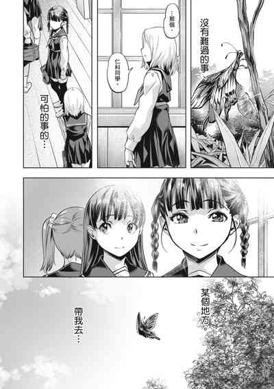第146頁圖