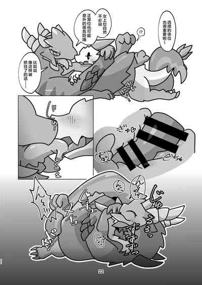 第22頁圖