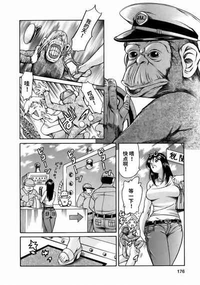 第178頁圖