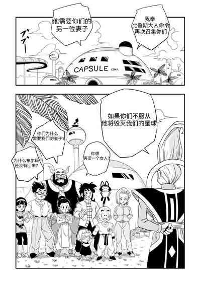 第10页图