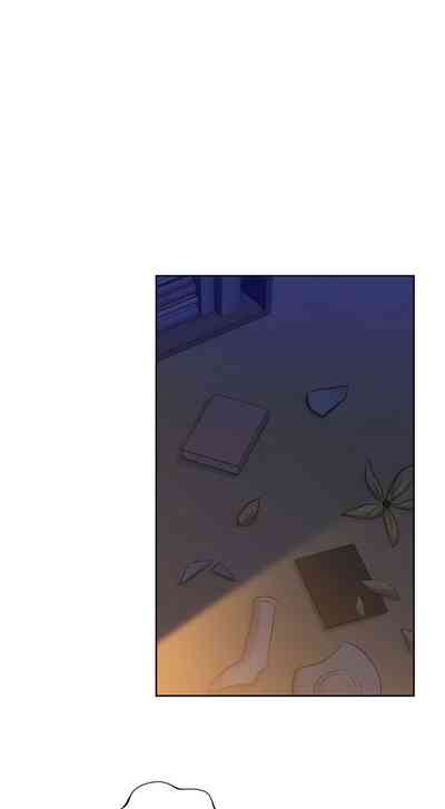 第242頁圖