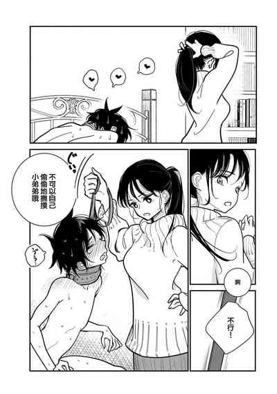 第494頁圖