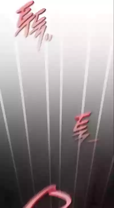 第542页图