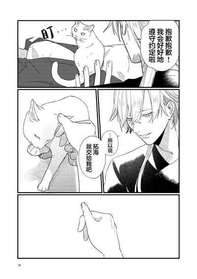 第38页图