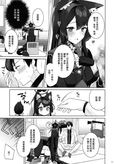 第30页图