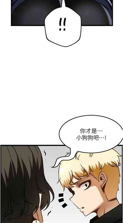 第506頁圖