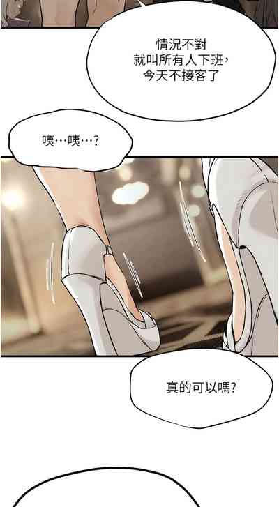 第242頁圖