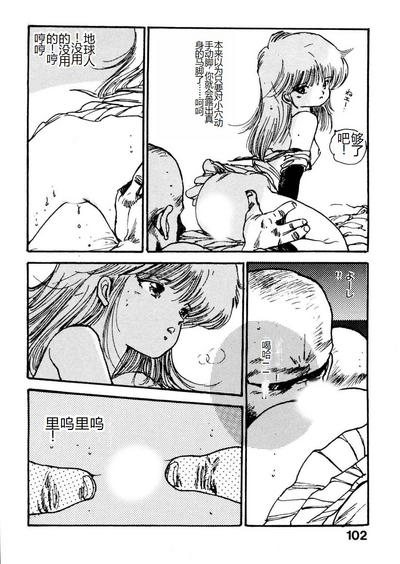第102頁圖