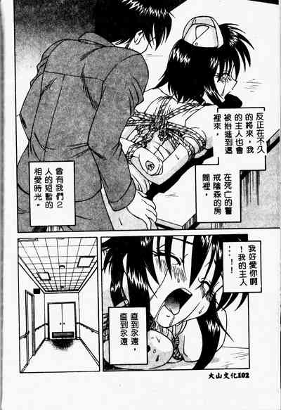 第102頁圖