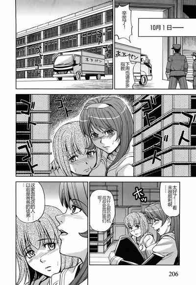 第210頁圖