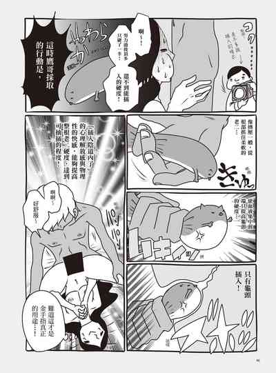 第54页图