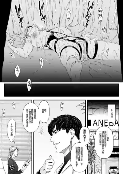 第42頁圖