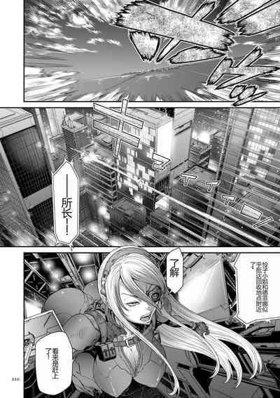 第210頁圖