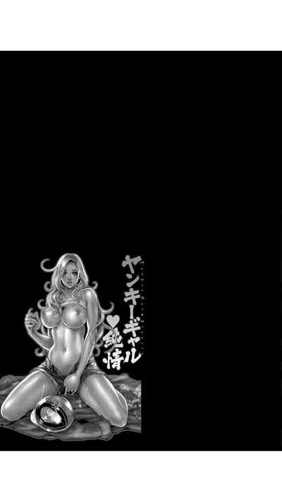 第106頁圖