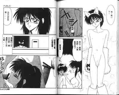 第78頁圖
