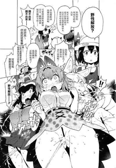 第2頁圖