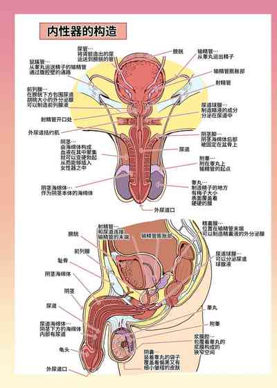 第26頁圖