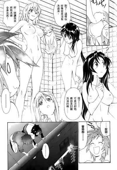 第162頁圖