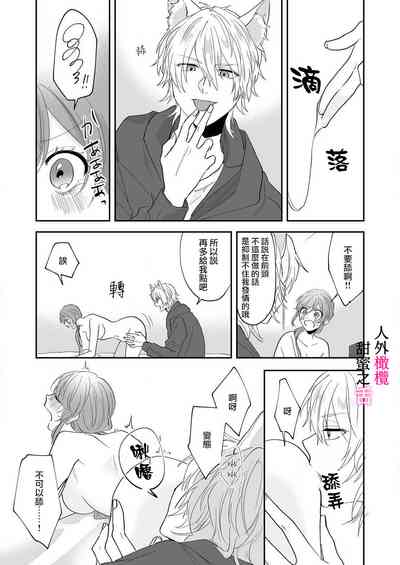 第42页图