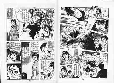 第46頁圖