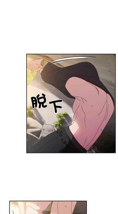 第250頁圖