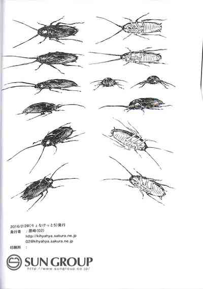 第34頁圖