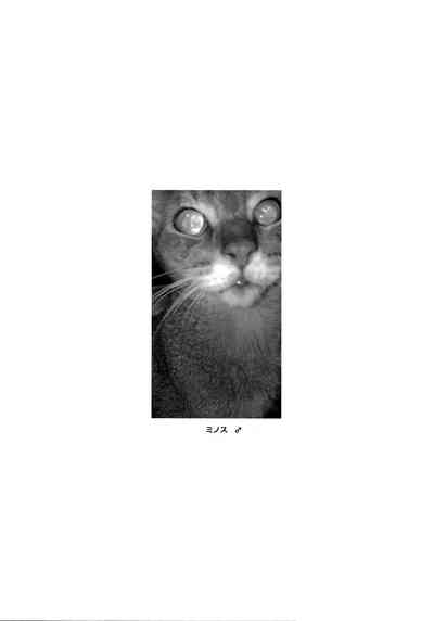 第34頁圖
