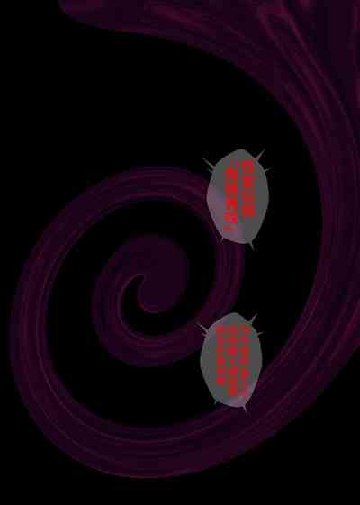 第502頁圖