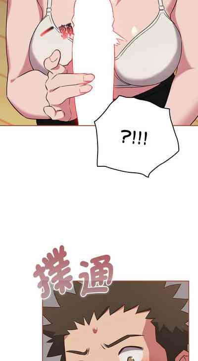 第482页图