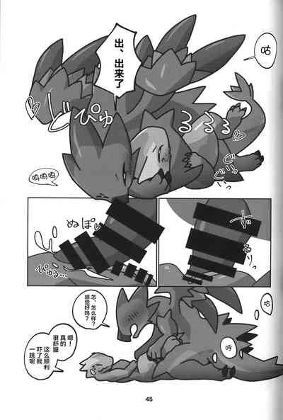 第46页图