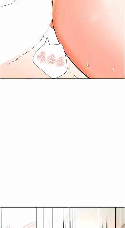 第294頁圖