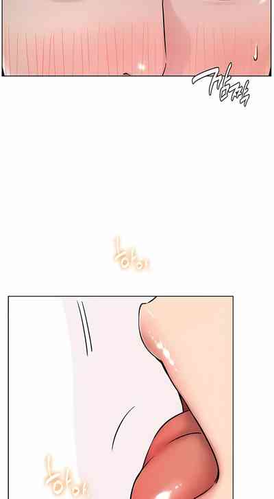 第530頁圖