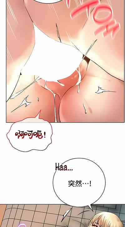 第590頁圖