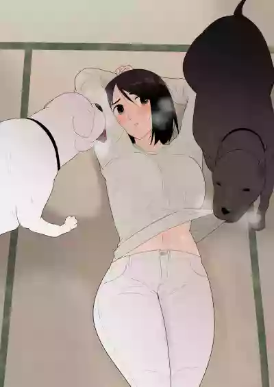 第2页图
