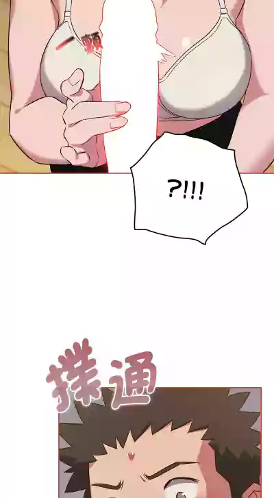 第482页图