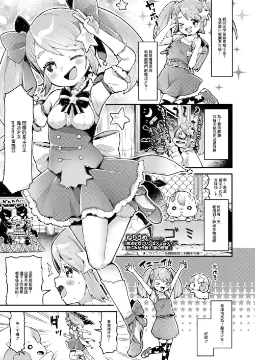 魔法少女プリンセスミーティア 悲しみから救え!愛の奇蹟! 封面 - HaSM.cc