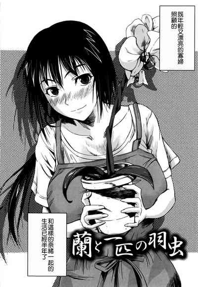 第34頁圖