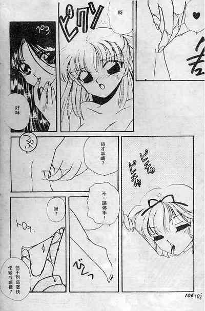 第102頁圖