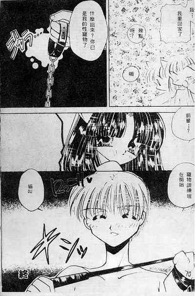 第70頁圖