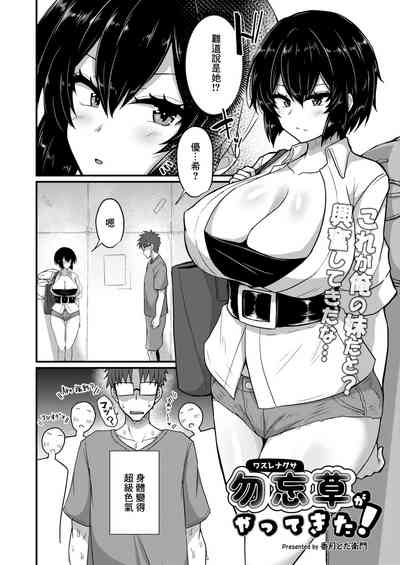 第2页图