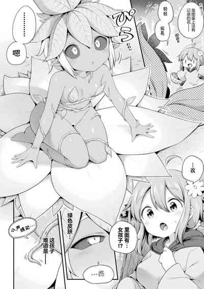 第2页图