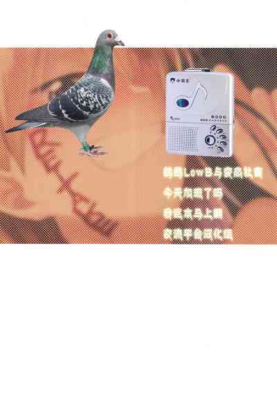 第10頁圖