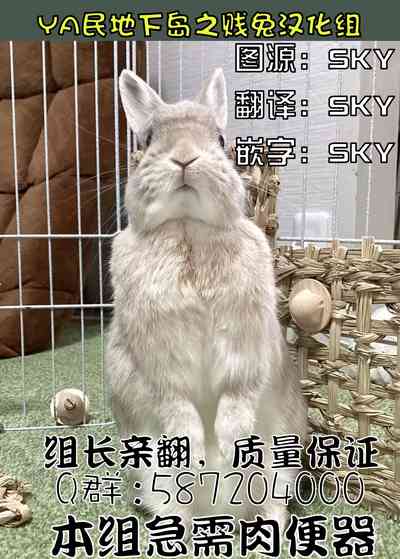 第22页图