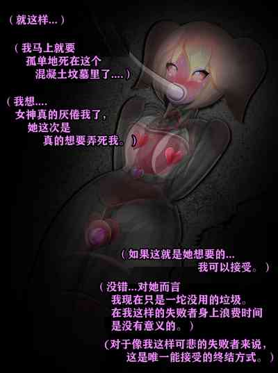 第294頁圖