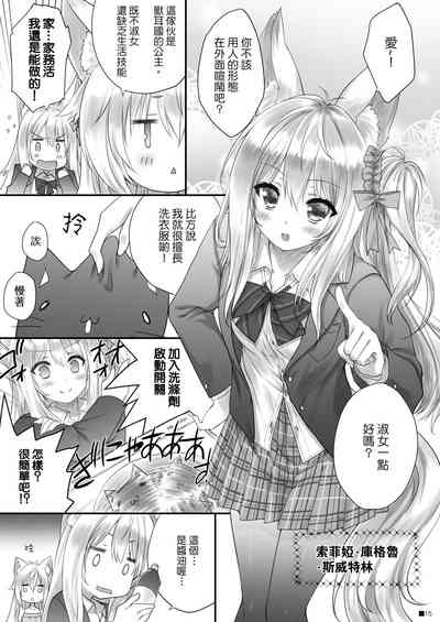 第14頁圖