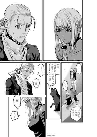第294頁圖