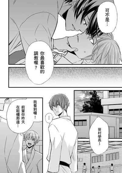 第246頁圖