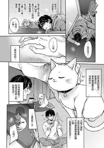 第54页图