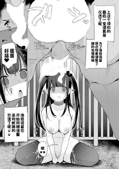 第382頁圖